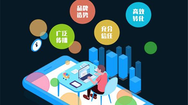 关键词排名系统开发，别只看报价单